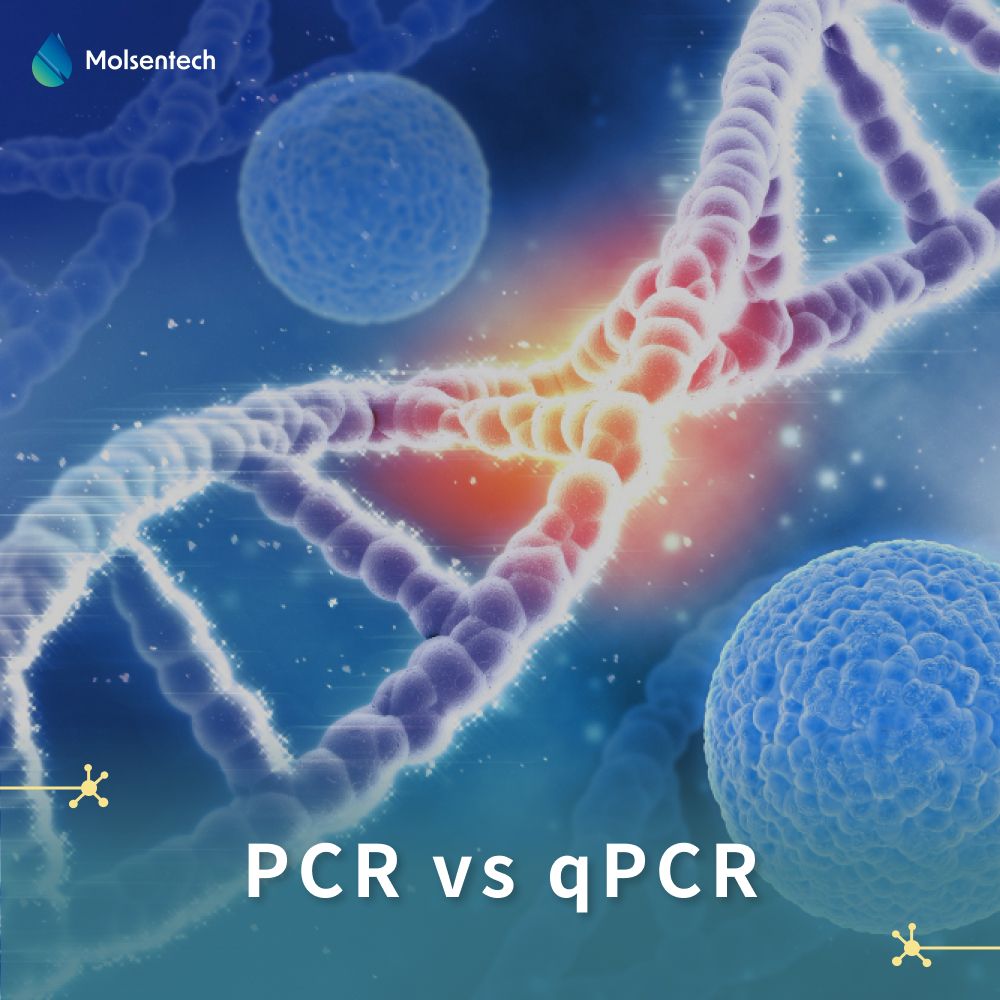 PCR vs qPCR vs RT-PCR vs RT-qPCR: What’s the Difference
