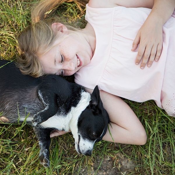 Companion Animal Cancer Screening