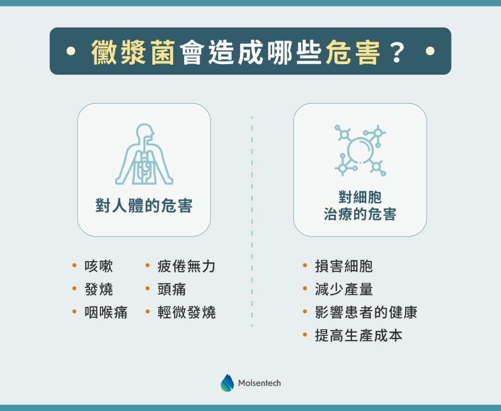黴漿菌會造成哪些危害?.jpg